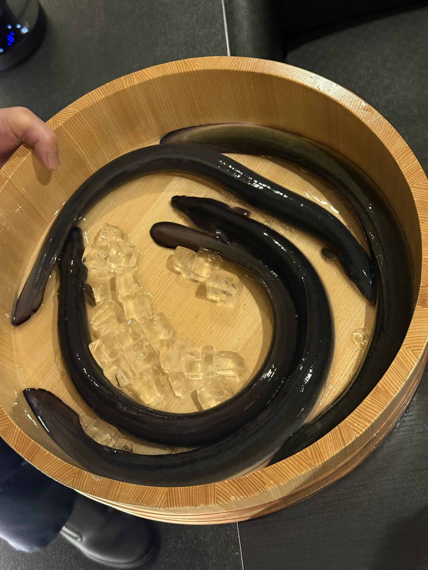 桶に入れられた活鰻